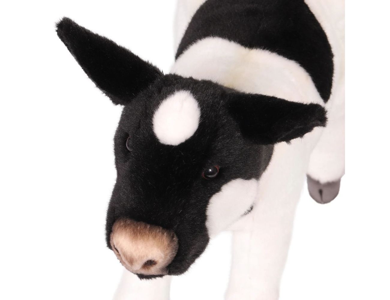 Увеличить фотографию