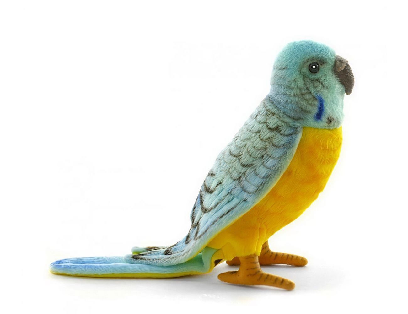 Увеличить фотографию