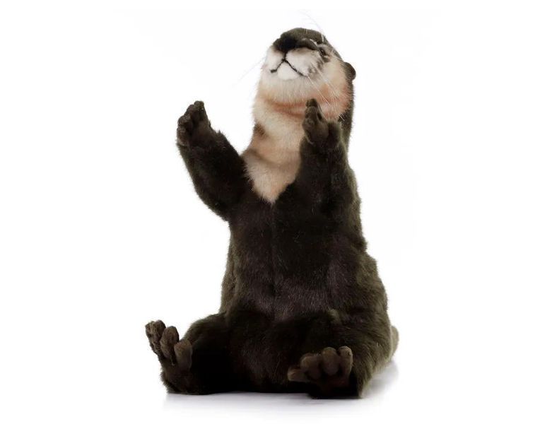 Увеличить фотографию