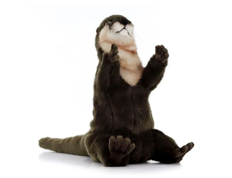 Увеличить фотографию