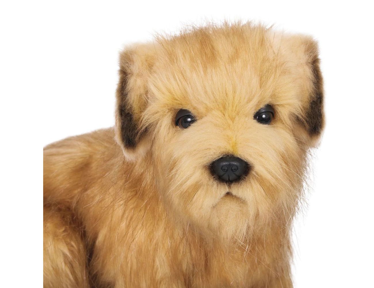 Увеличить фотографию