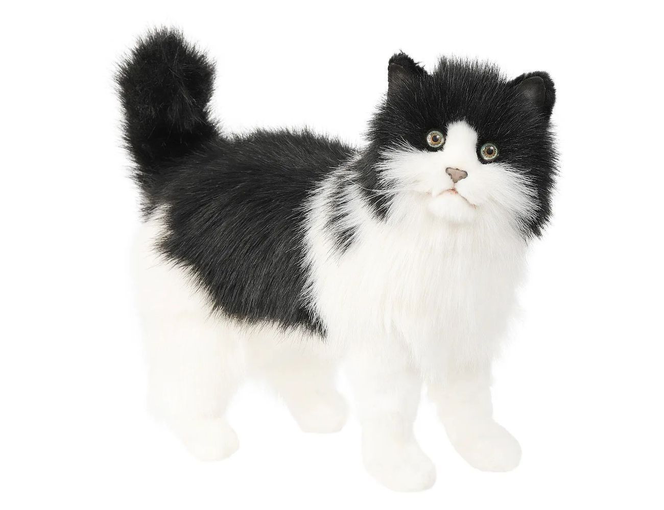 Увеличить фотографию