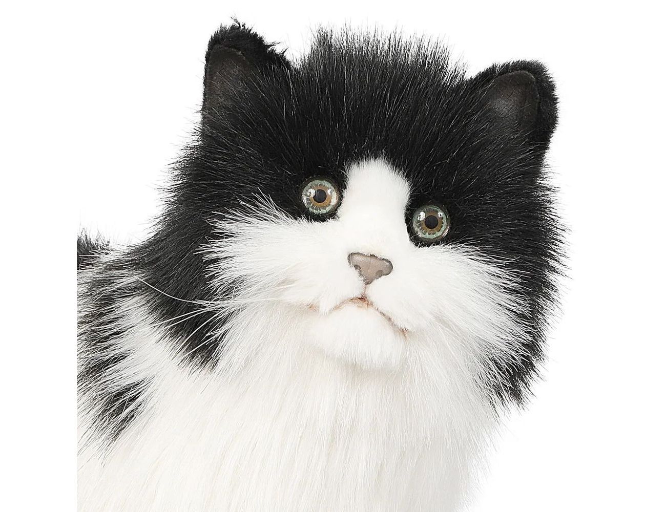 Увеличить фотографию