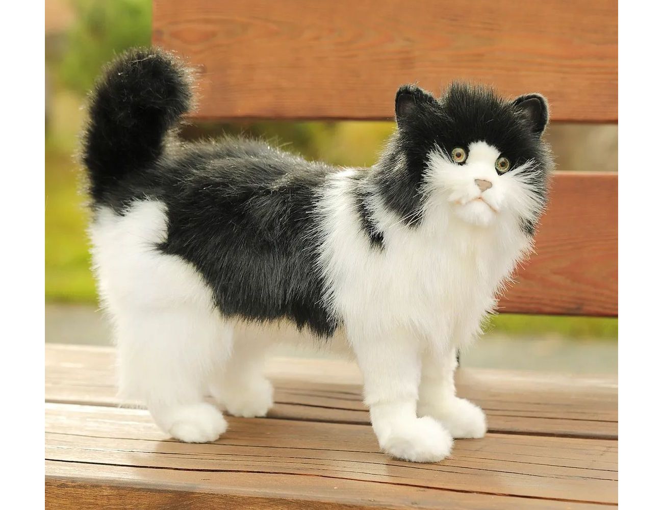 Увеличить фотографию