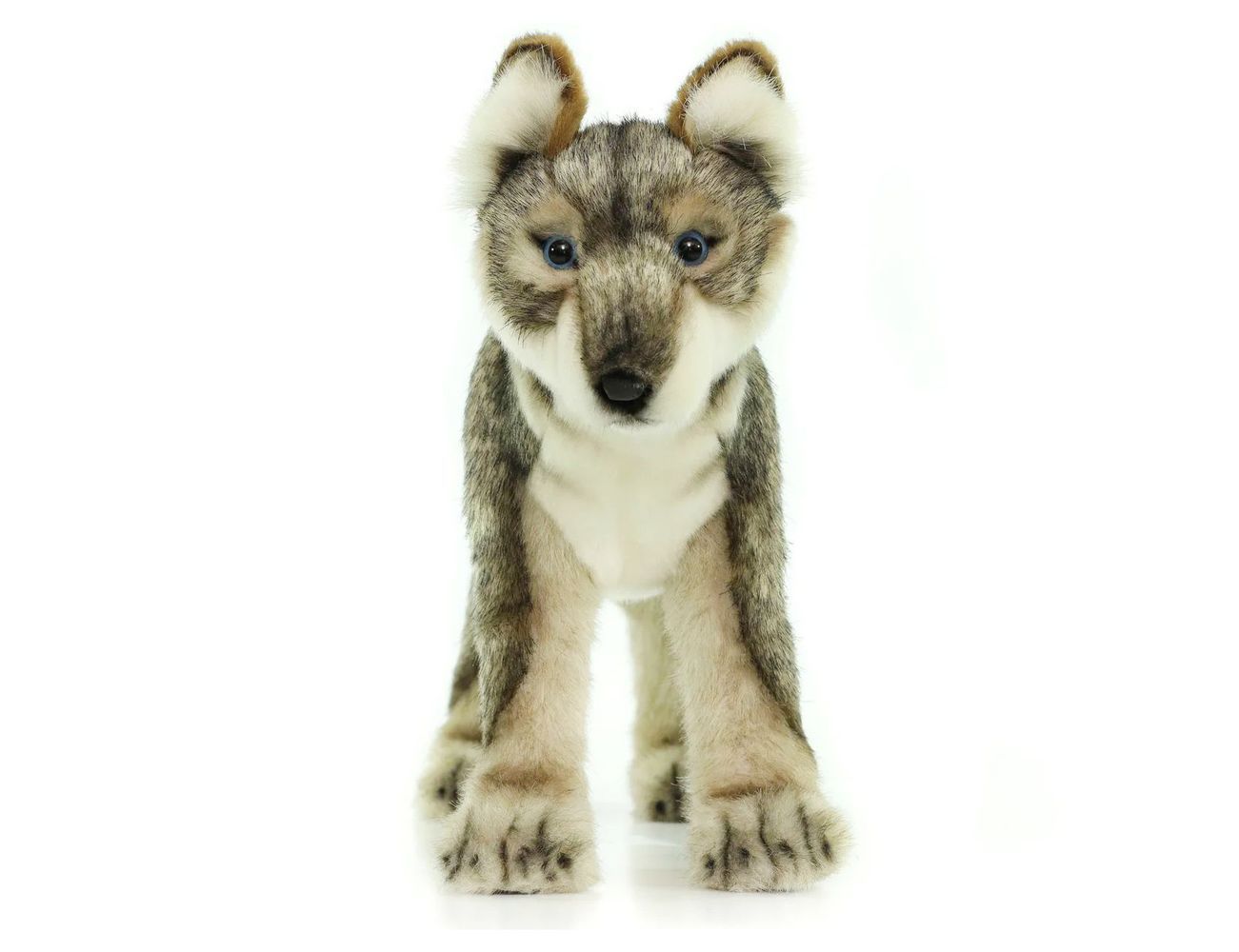 Увеличить фотографию