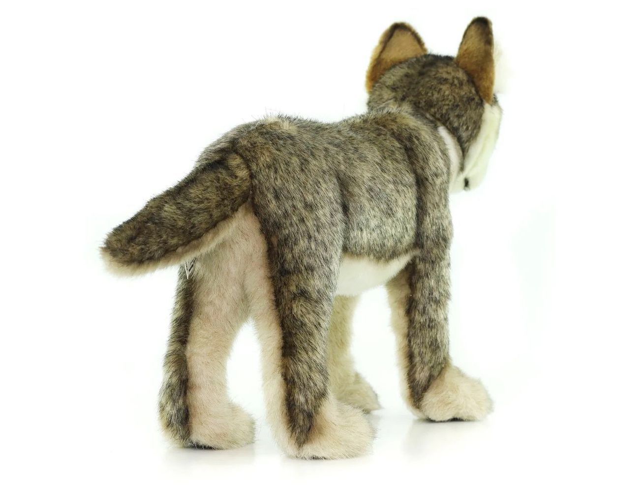 Увеличить фотографию