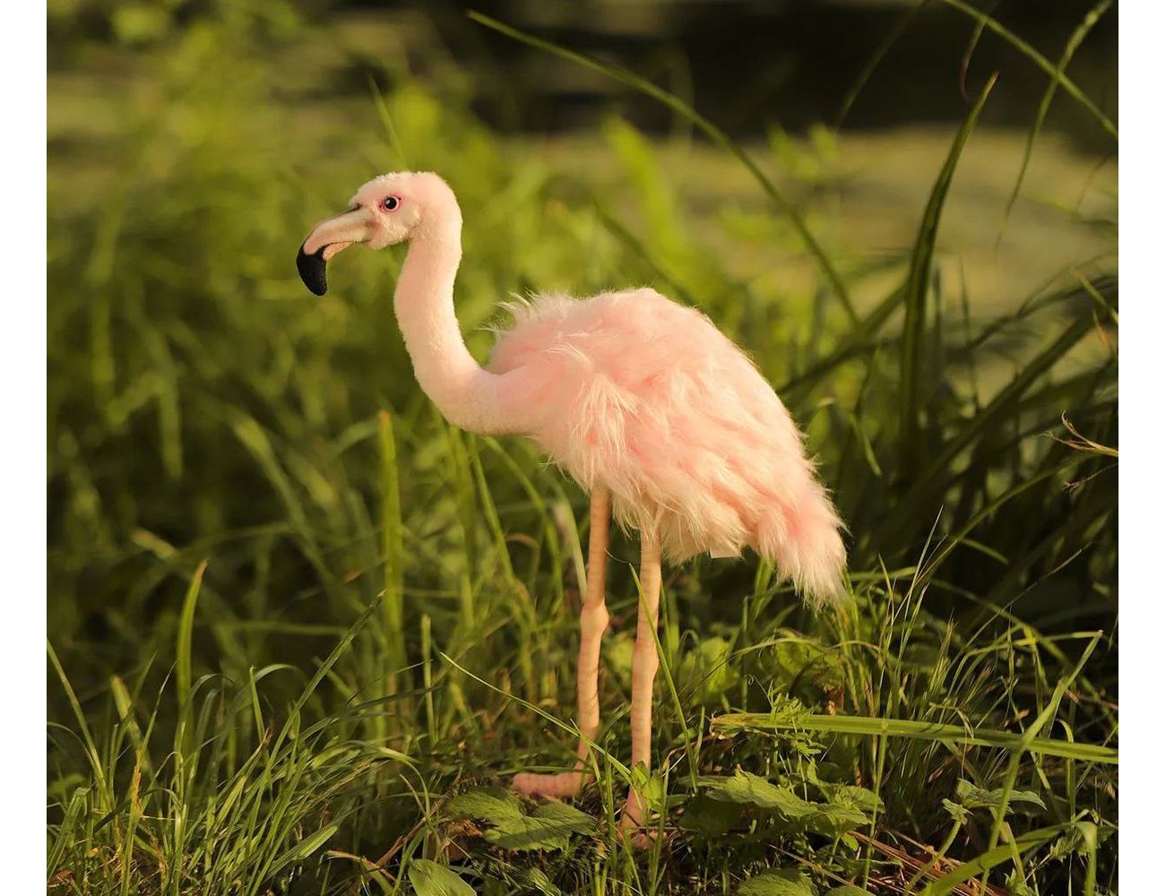 Увеличить фотографию