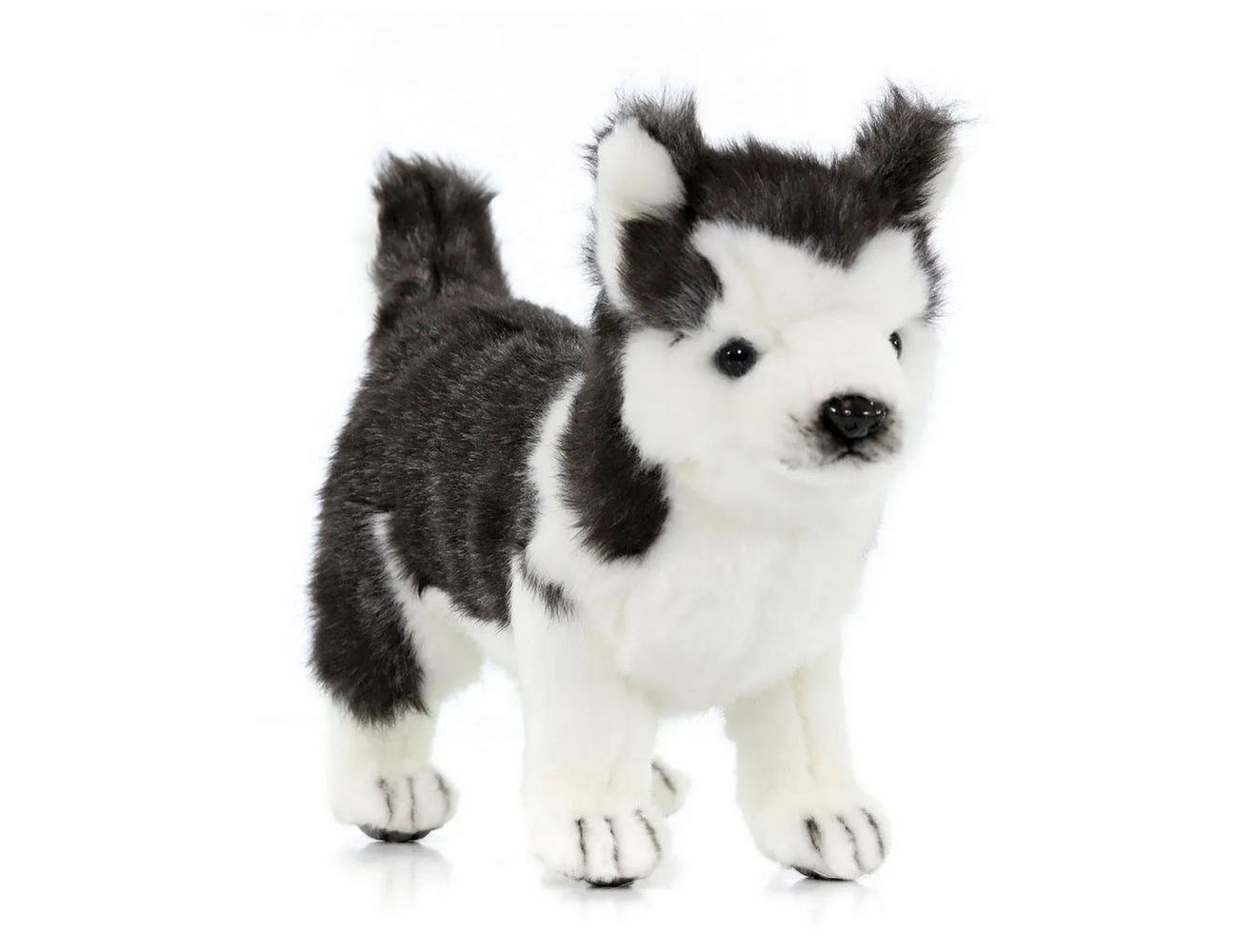 Увеличить фотографию