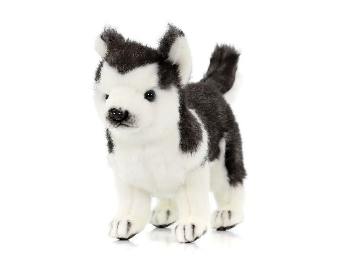 Увеличить фотографию