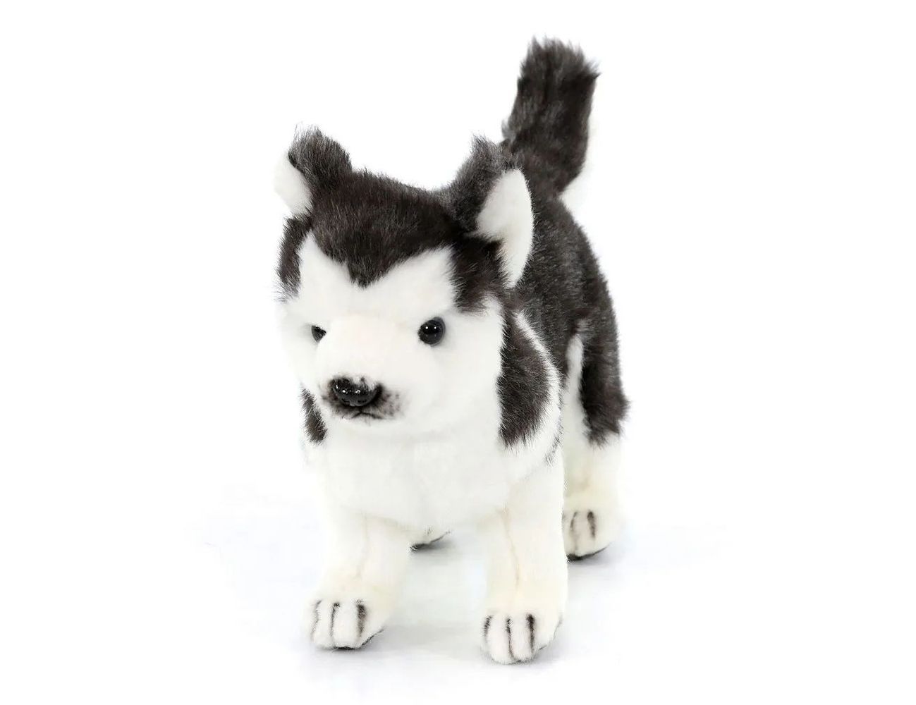 Увеличить фотографию