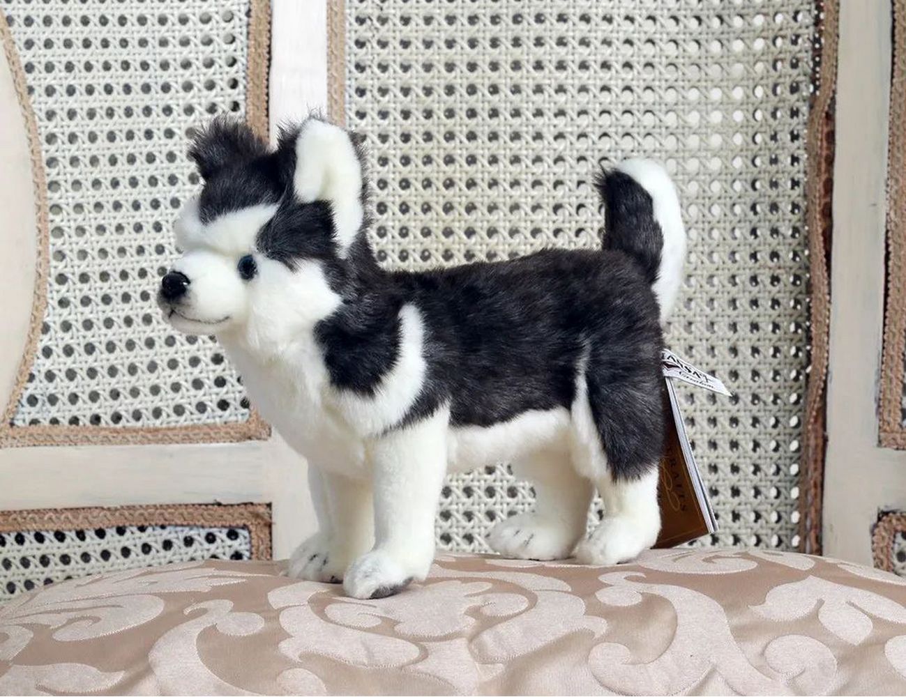 Увеличить фотографию