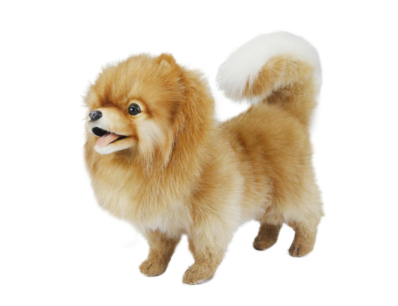 Увеличить фотографию