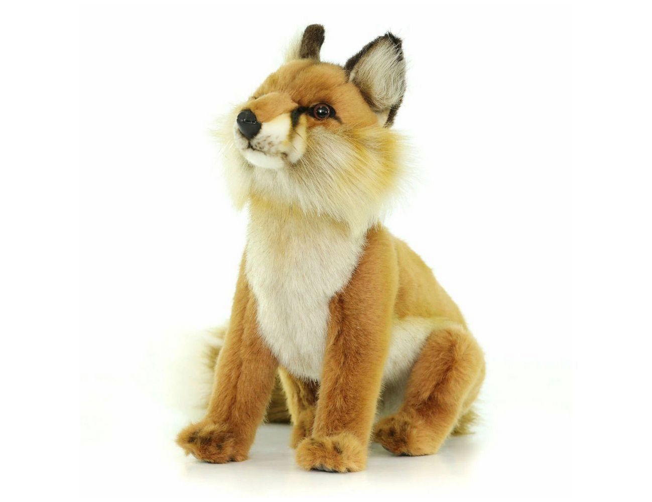 Увеличить фотографию