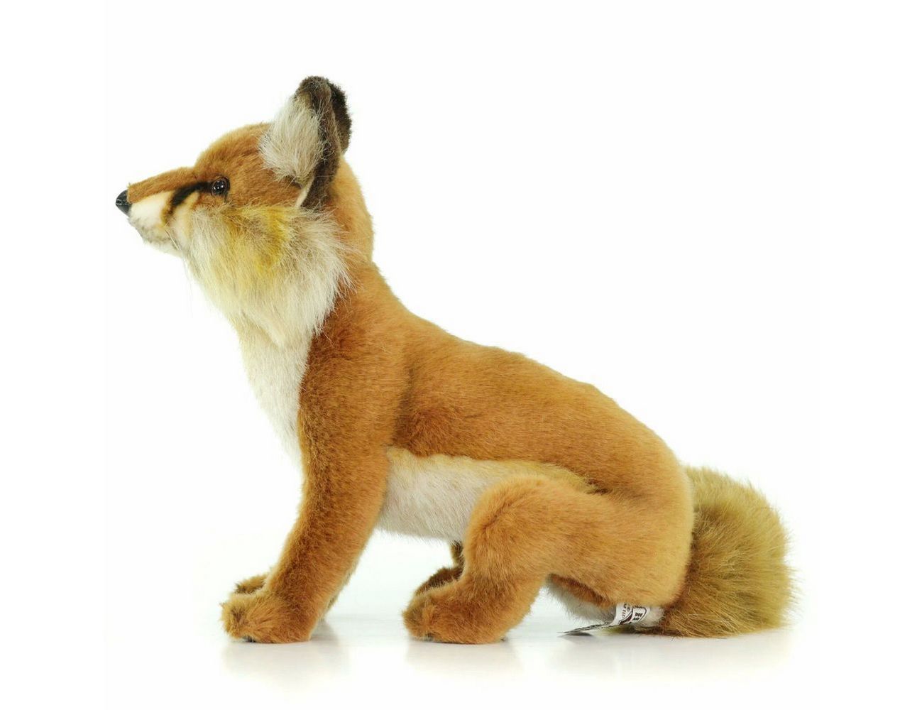 Увеличить фотографию