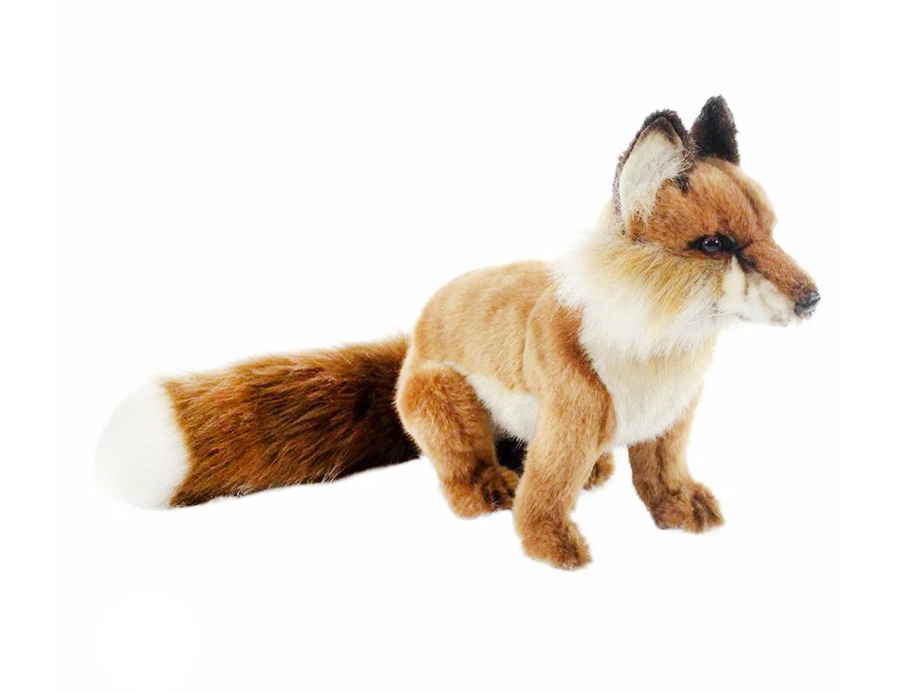 Увеличить фотографию