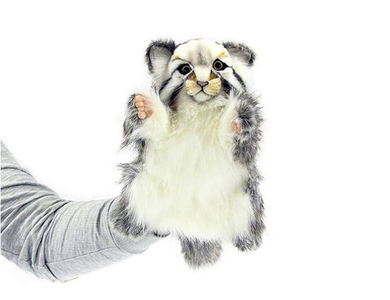 Увеличить фотографию