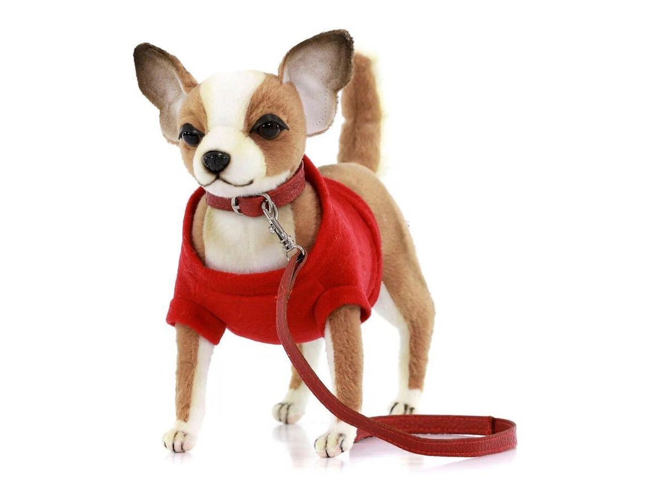 Увеличить фотографию