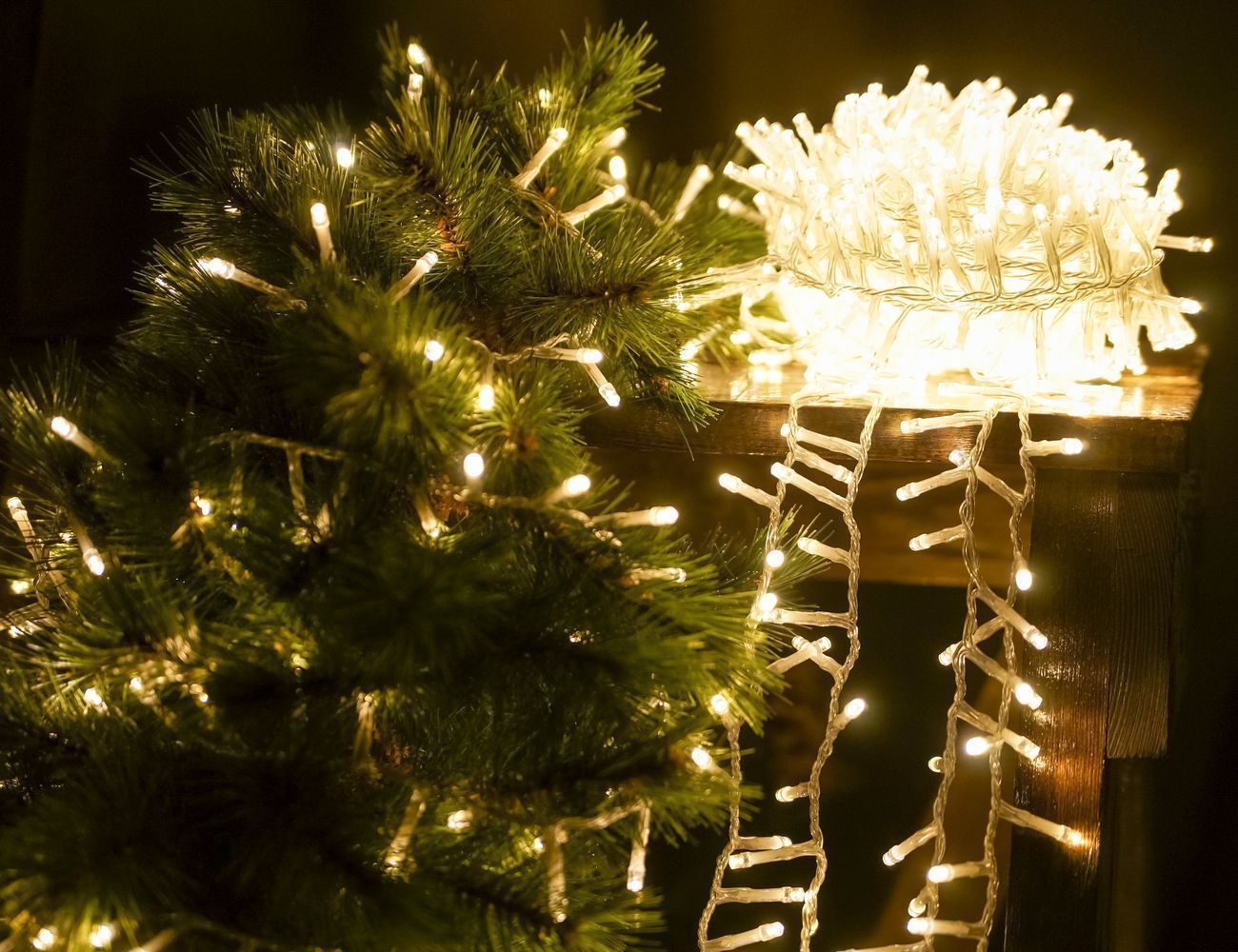 Увеличить фотографию