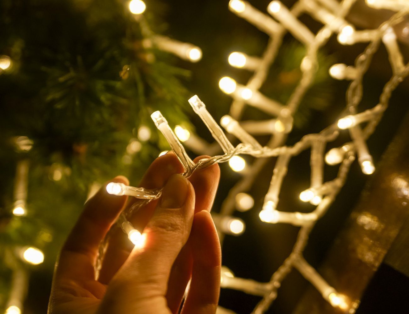 Увеличить фотографию