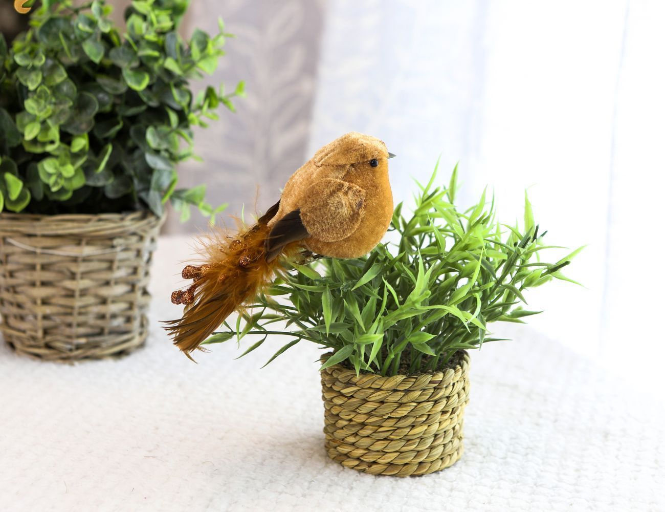 Увеличить фотографию