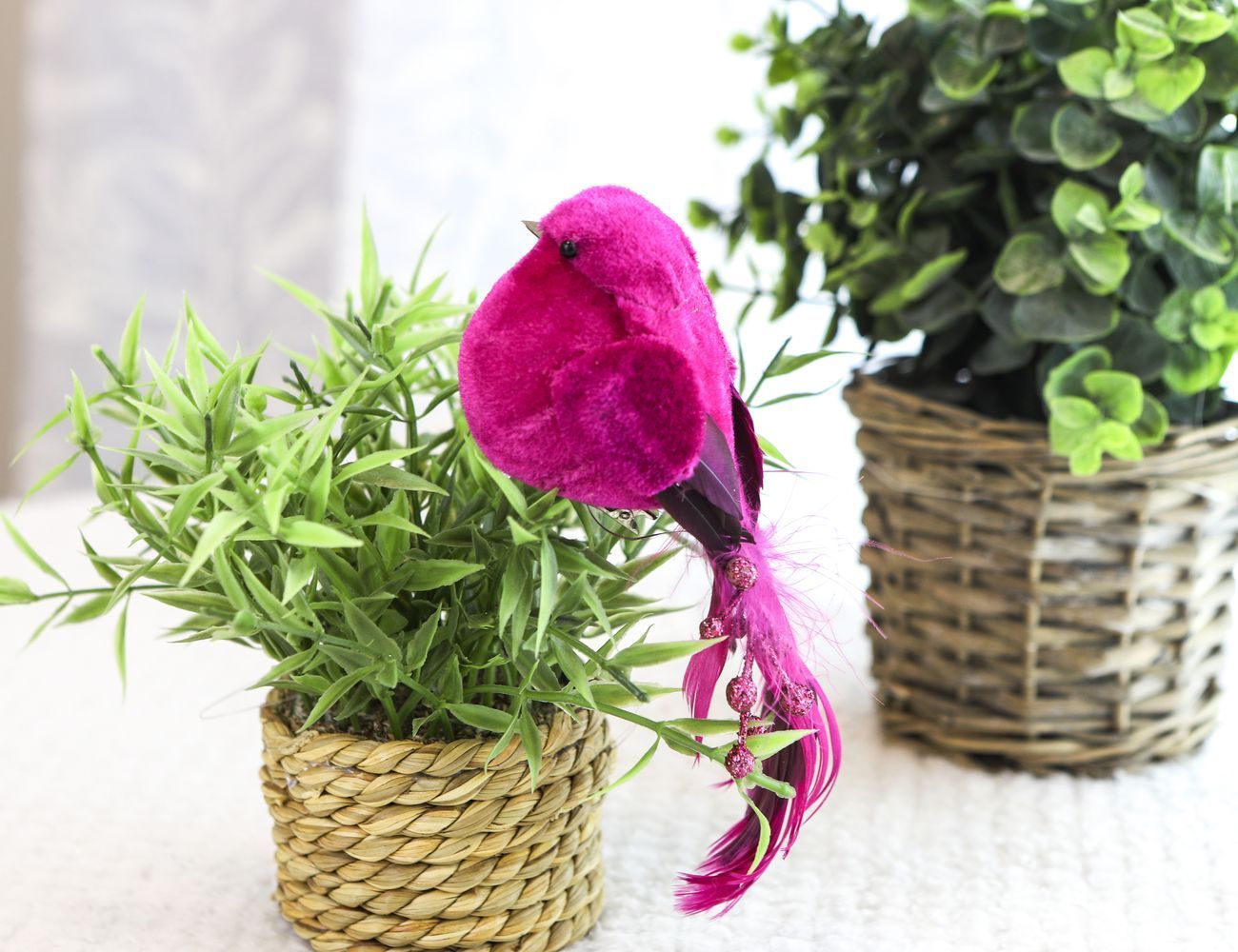 Увеличить фотографию