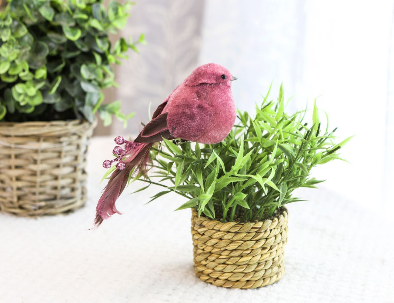 Увеличить фотографию