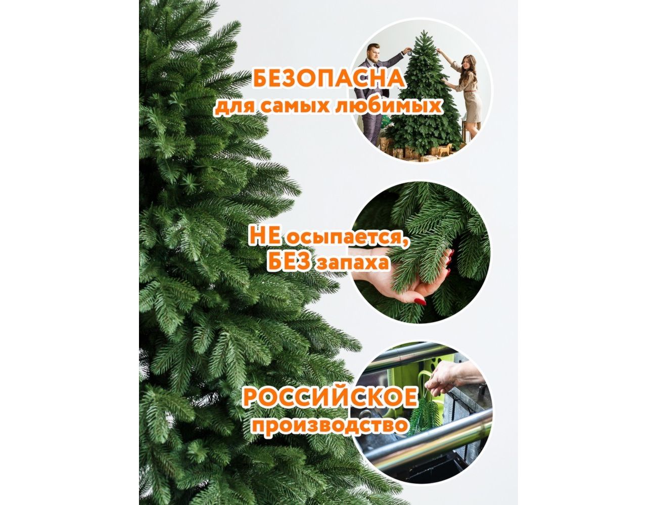 Увеличить фотографию