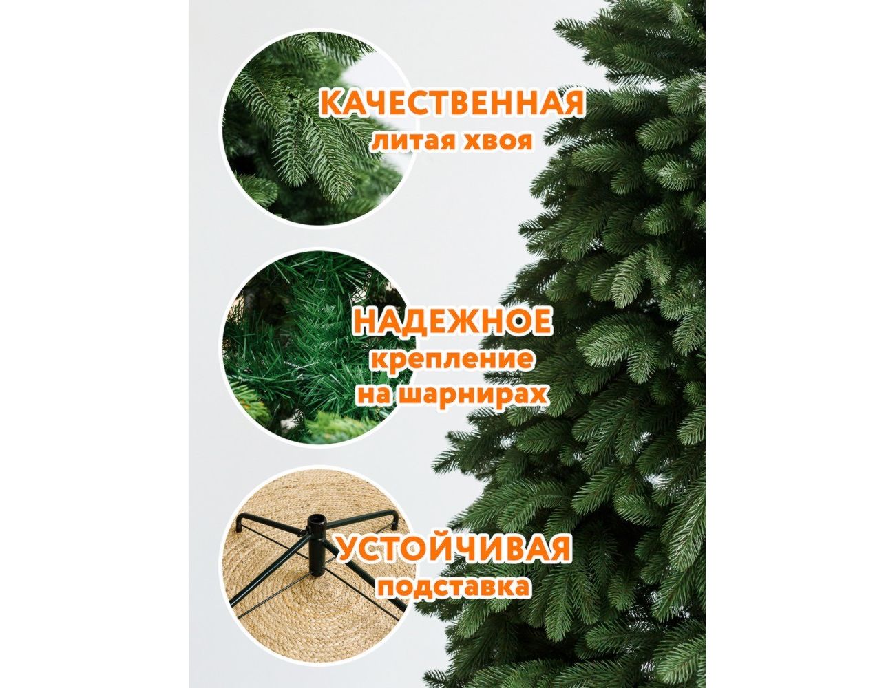 Увеличить фотографию