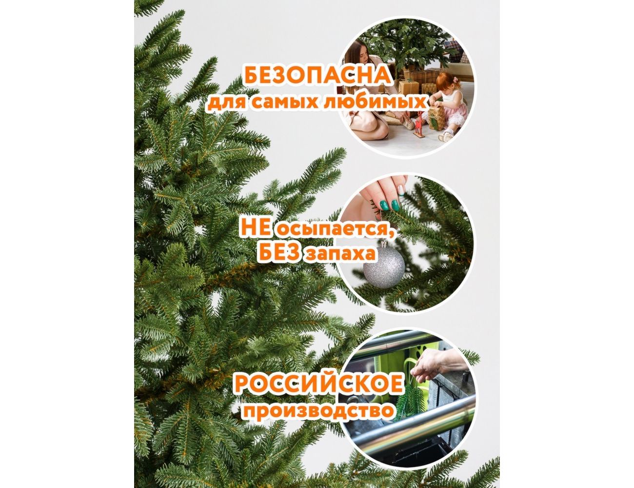 Увеличить фотографию