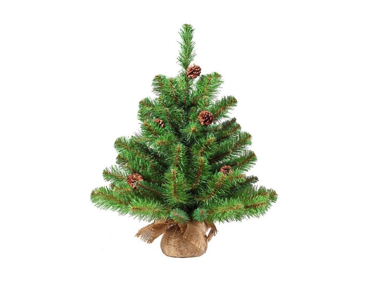 Настольные Ели Купить