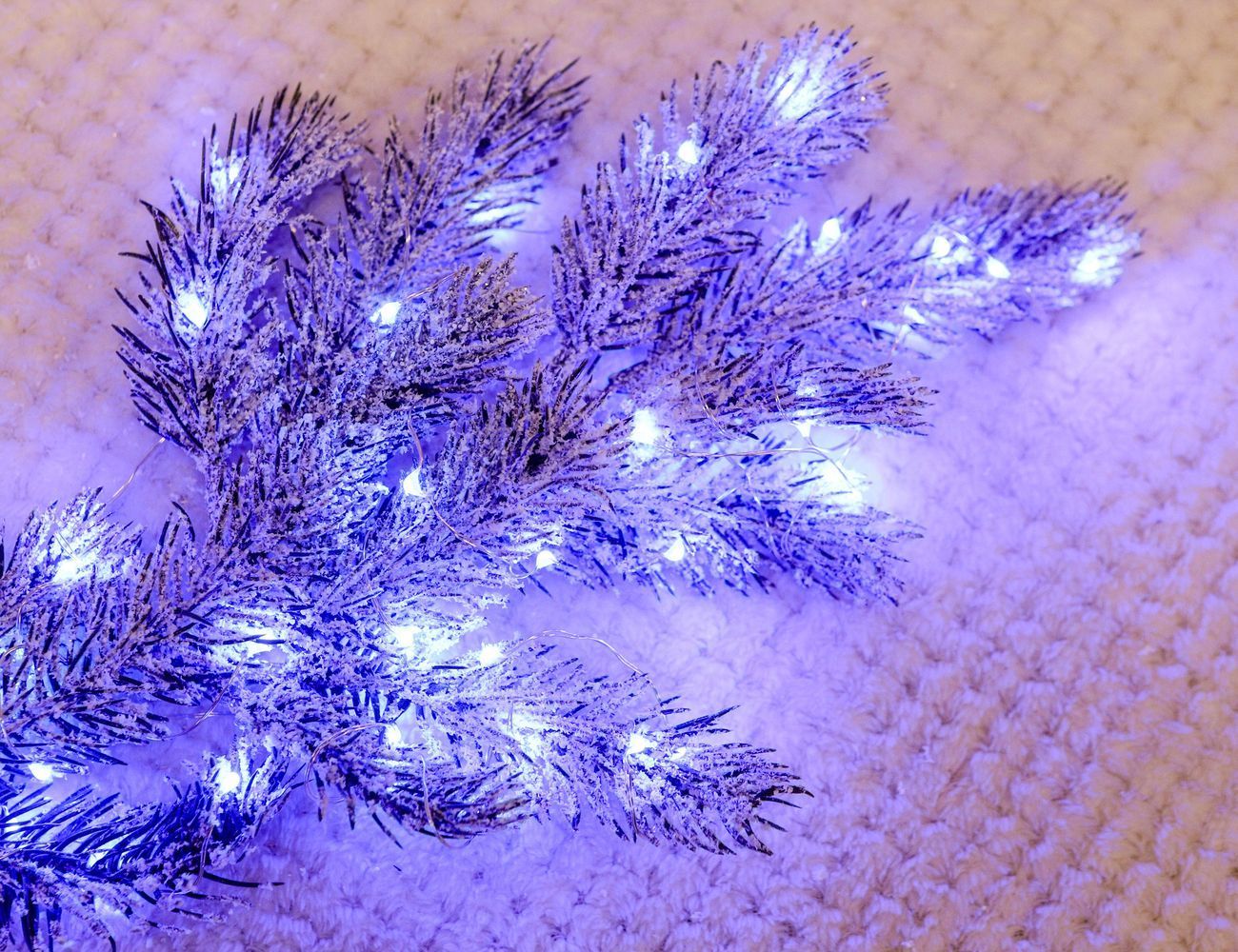 Увеличить фотографию