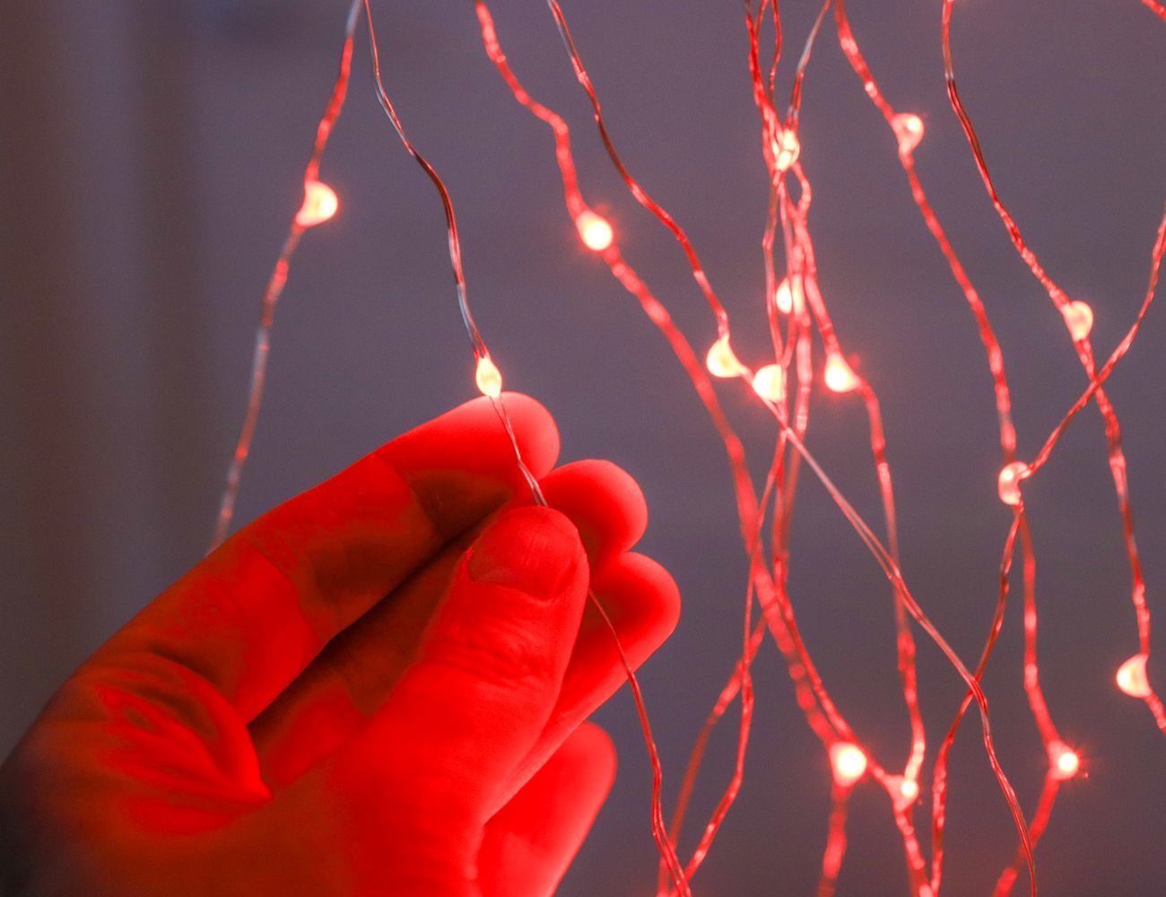 Увеличить фотографию