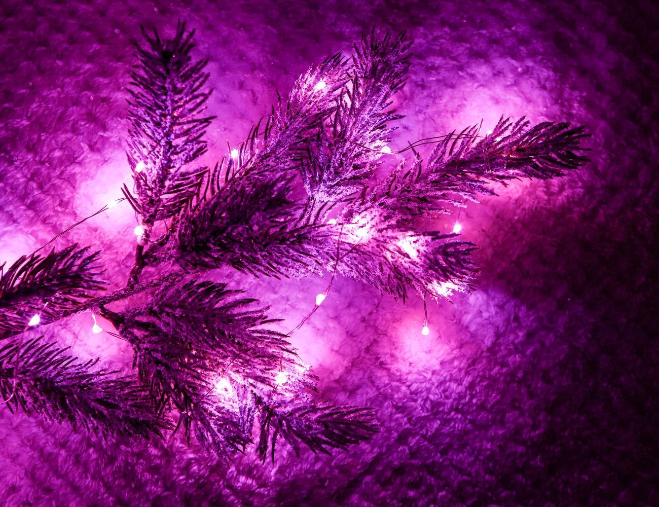 Увеличить фотографию