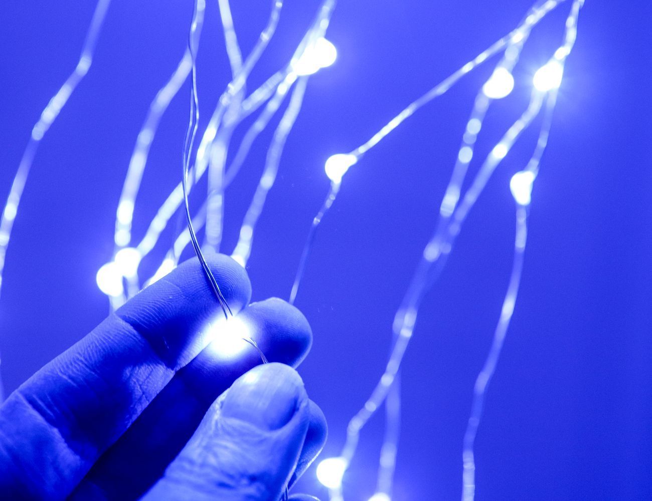 Увеличить фотографию