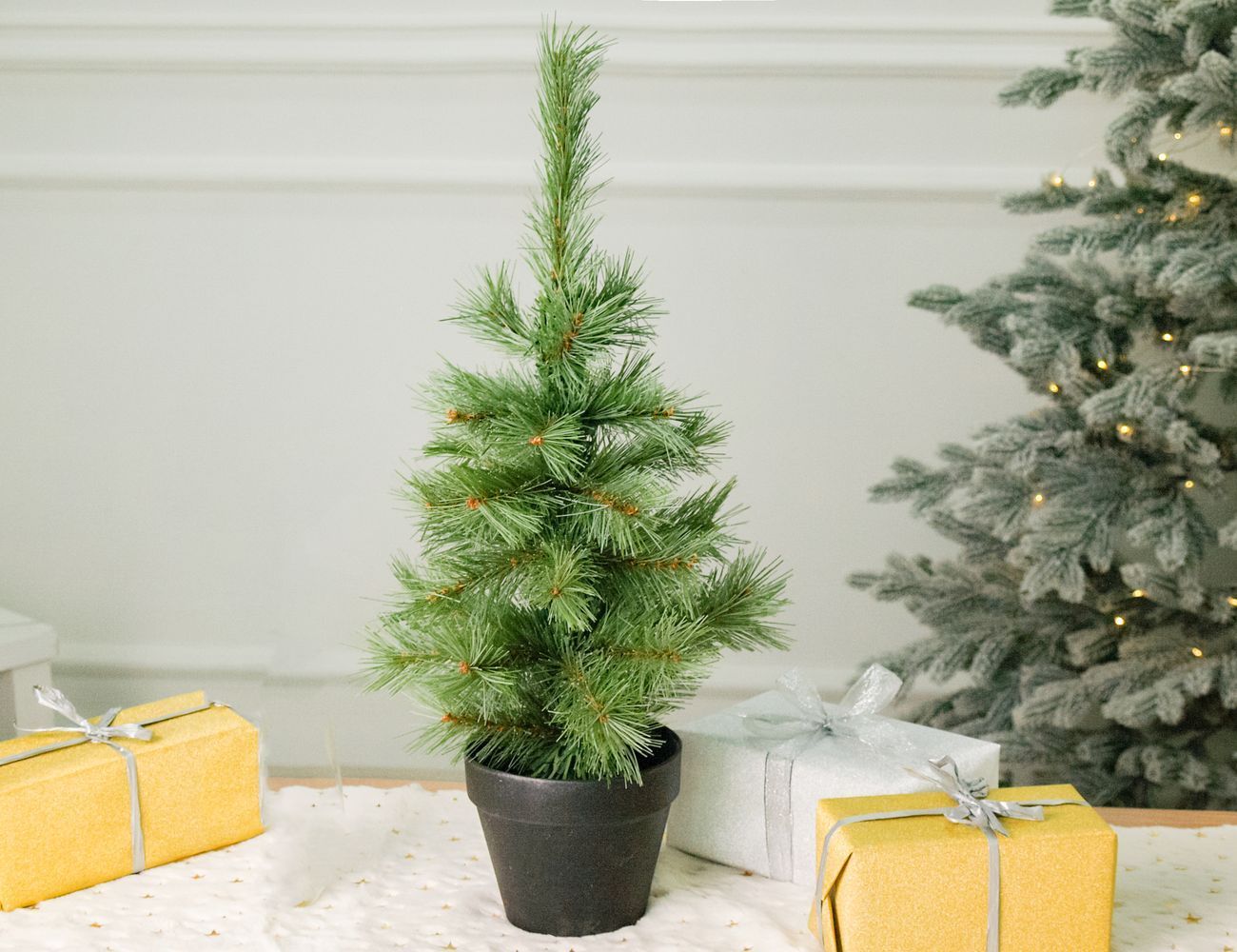 Увеличить фотографию