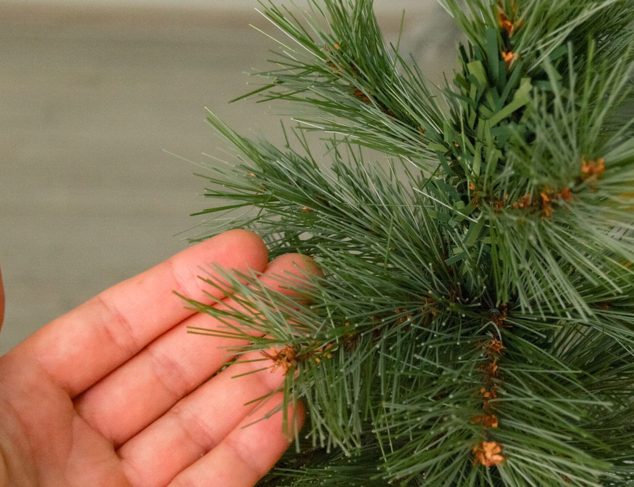 Увеличить фотографию