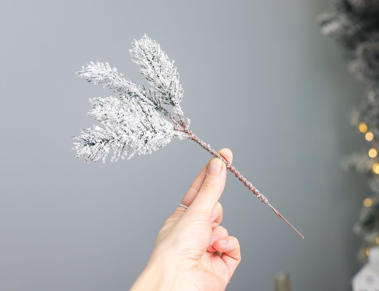 Увеличить фотографию