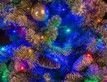 Выбрать фотографию для просмотра