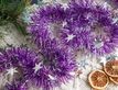 Выбрать фотографию для просмотра