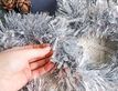 Выбрать фотографию для просмотра