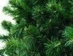 Выбрать фотографию для просмотра