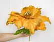 Выбрать фотографию для просмотра
