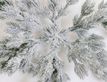 Выбрать фотографию для просмотра