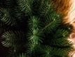 Выбрать фотографию для просмотра