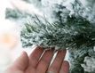 Выбрать фотографию для просмотра