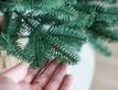 Выбрать фотографию для просмотра