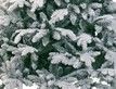 Выбрать фотографию для просмотра