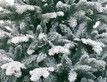 Выбрать фотографию для просмотра