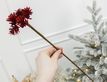 Выбрать фотографию для просмотра