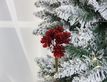 Выбрать фотографию для просмотра